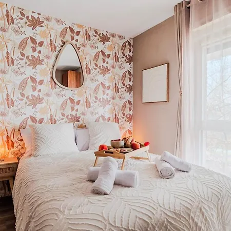 Le Floréal - Netflix I Centre -ville I 2 Min Allemagne Appartement *