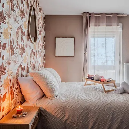 Le Floreal - Netflix I Centre -ville I 2 Min Allemagne *