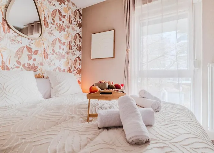 Appartement Le Floréal - Netflix I Centre -ville I 2 Min Allemagne Strasbourg