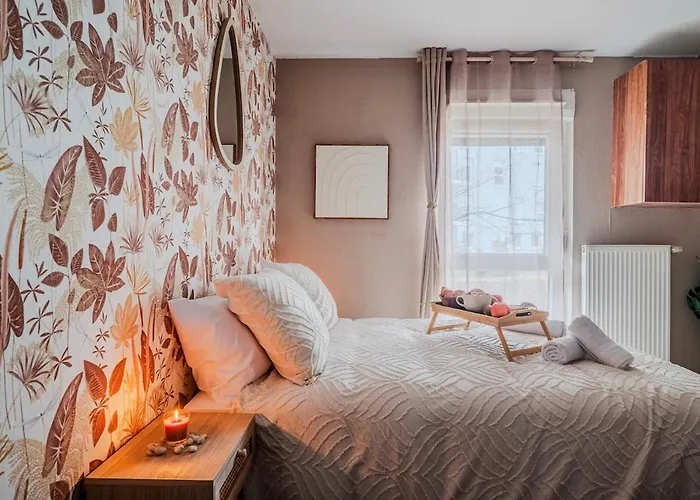 Le Floreal - Netflix I Centre -ville I 2 Min Allemagne *